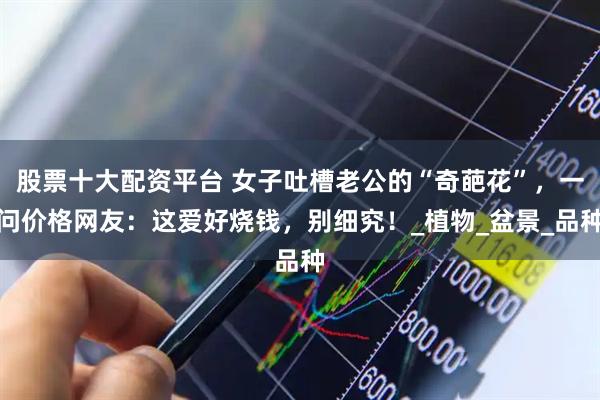 股票十大配资平台 女子吐槽老公的“奇葩花”，一问价格网友：这爱好烧钱，别细究！_植物_盆景_品种